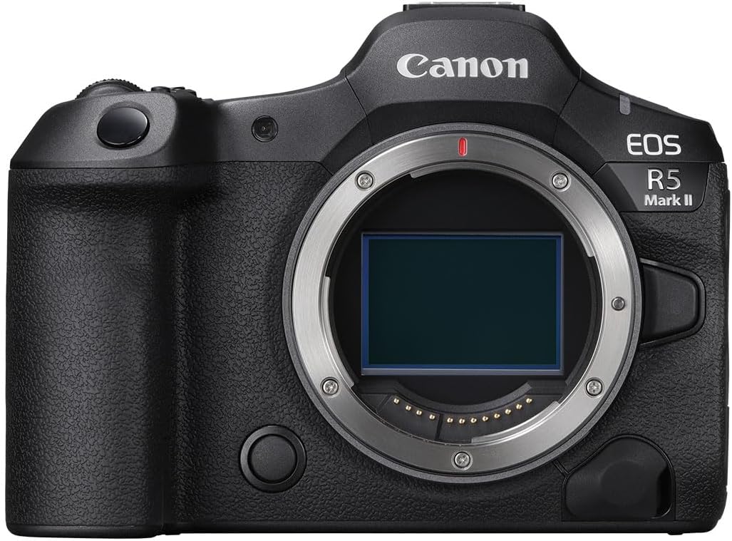 Best Mirrorless Cameras: Canon, Nikon and Fujifilm Compared