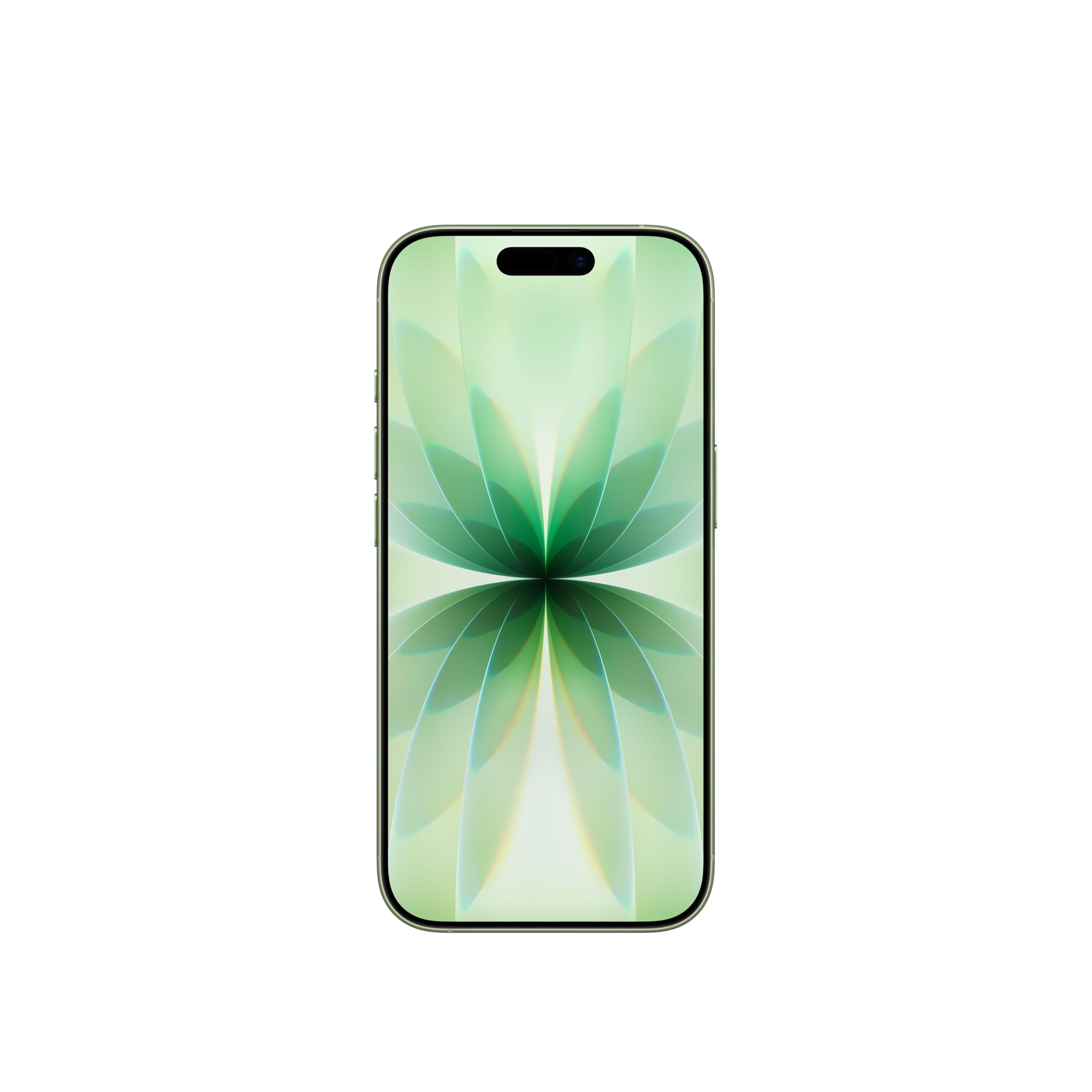 Apple iPhone 17 256GB